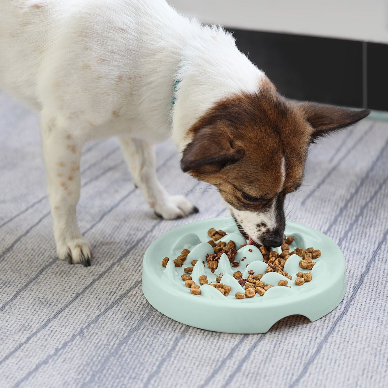 7d1c1c078aba4a2f9c9b5c278e40c4e5